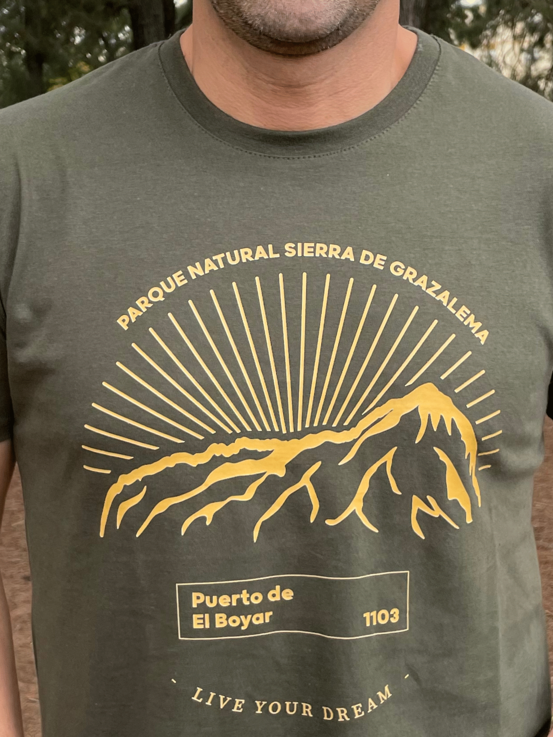 LIVE YOUR DREAMS CAMISETA CASUAL “BOYAR” KHAKI - Imagen 4